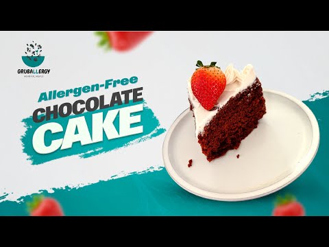 Allergy-Friendly Chocolate Cake | Dairy-Free Cocoa Cake | Soft, Rich & Easy Recipe