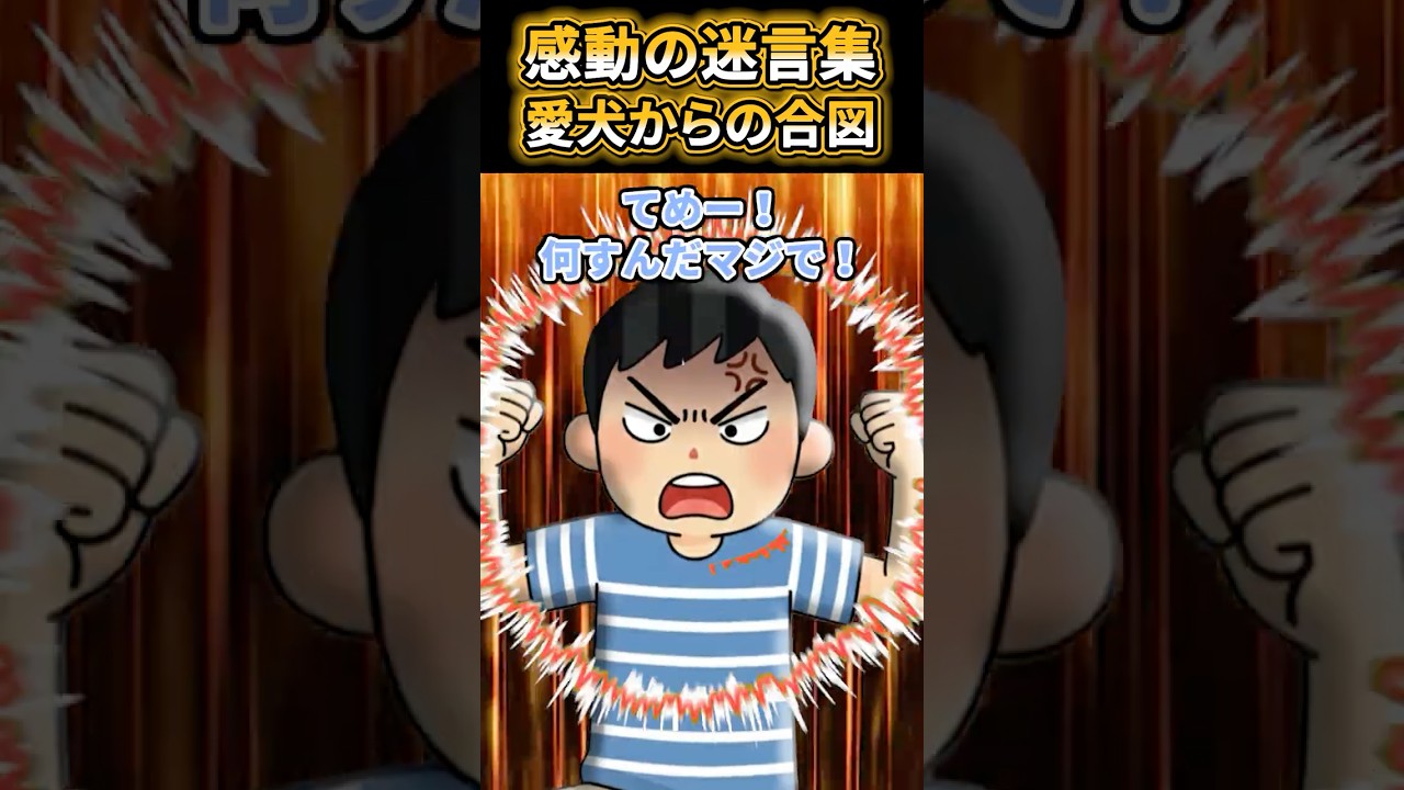 BBQ中にテントを破壊したら全員からフルボッコされそうになったんだが…【2ch 感動】