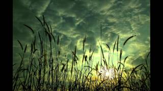 Wakeman With Wakeman - No Expense Spread [HD]