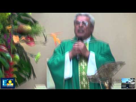 Homilía 5 de octubre del 2014. El dueño de la viña y los trabajadores asesinos.