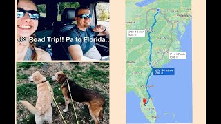 Road Trip with us! Pa to Florida. 16+ hrs with 2 dogs #vlog #couple #roadtrip #driving #travel #dogs