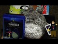 My Neighbor Totoro Cartoon