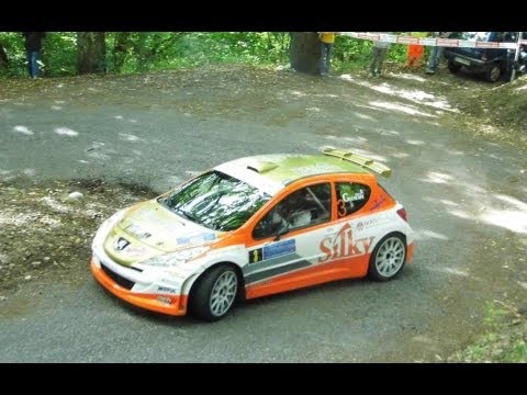 57° Rally Coppa Valtellina 2013