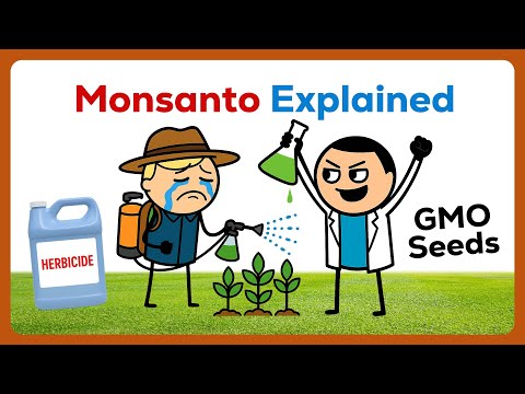 Why Farmers Cannot Replant Their Own Seeds | Monsanto Explained
