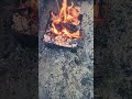 Thqnd De Ye Chal De Mahine Gori Ye Music Shorts Shorts Viralvideos Status Viral Uttarakhand