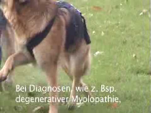 Wie Prostatitis Video behandeln Mäßig diffuse Veränderungen in der Prostata exprimiert