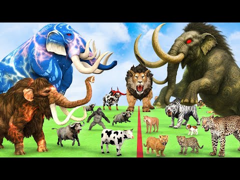 5 Giant Elephant Cow Vs Giant Angry Indian Mammoth Vs 5 Giant Lion Tiger Cub Saved By Wolly Mammoth