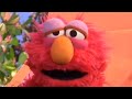 If Abby Yelling Elmo Is Wide Awake