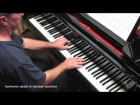 Gabriel Fauré - Pavane Op.50 - Piano Solo - P. Barton, FEURICH grand piano