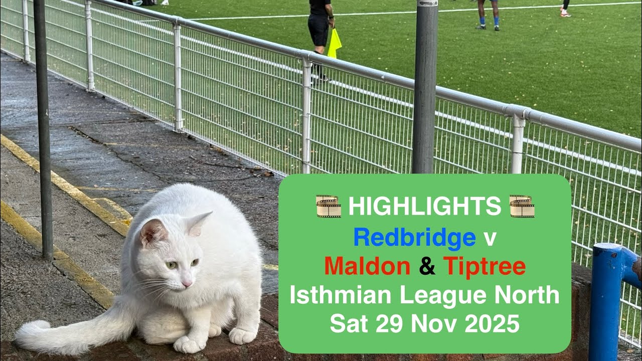 West Essex vs Maldon & Tiptree Best Goals Season 2023/2024