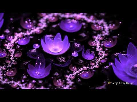 Deep Soothing Dream Calm, 20 minutes of Fast Healing Stress Relief ★ 84