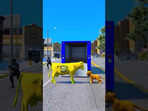 GTA V BABY LION SAVING HOLY COW #shorts | GERINGG