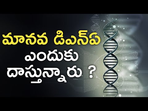 DNA History in Telugu | Human Genes Explained