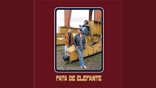 Pata de Elefante Chords