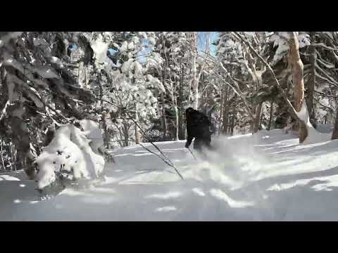 Shiga Kogen | Okushigakogen | 27 February 2023