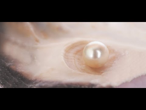 képes-e maga a magas vérnyomás