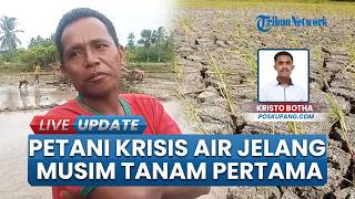 Petani Sawah di Wilayah Kotun Keluhkan Krisis Ketersediaan Air, Terancam Gagal Tanam Musim Pertama