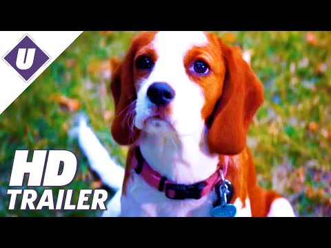 A Dog's Journey (2019) - Official Trailer | Dennis Quaid, Josh Gad