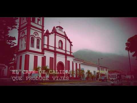 Café de Vijes obtiene oro internacional y posiciona al Valle en la élite mundial