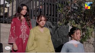 Kaisi Behan Ho, Shadi Ke Din Akela Chor Dia...! Dekh Zara Pyar Se | HUM TV