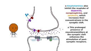 Toxicology Lecture 3: Amphetamine Toxicity