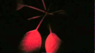 underworld   beautiful burnout lp version