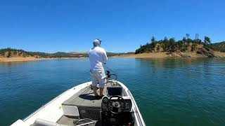 Alittle fun with the white bass