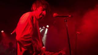 Guadalupe Plata - Hoy como perro / Huele a rata / Paloma negra