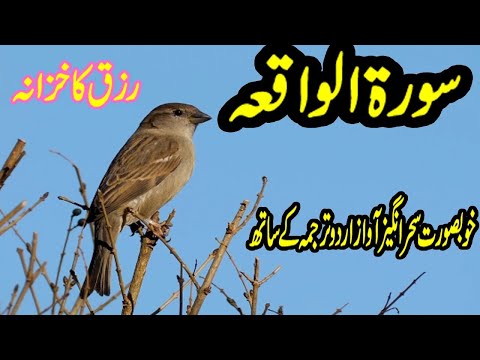 surah waqiah heart touching recitaion with urdu translation   by 786 cuisine