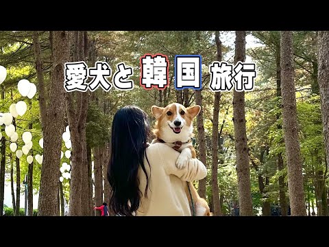 [Viagem à Coreia] Gawondo