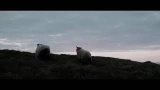 Reik ft. Felix y Gil - Al Fin Estás Aquí (Official Video) 2019 Estreno