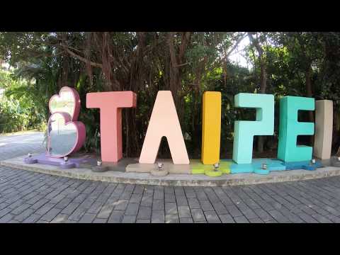 ⁴ᴷ⁶⁰ Walking Taipei, Taiwan : Songshan District to Neihu District | 松山區-內湖區 (December 16, 2019)