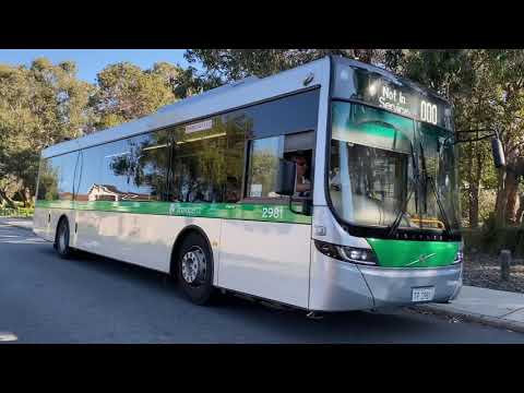 Transperth Volvo B8RLE (Volgren Optimus) TP2981