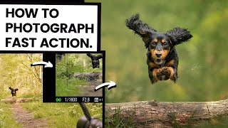How To Photograph Running Dogs | Action Photography Tips + Behind The Scenes