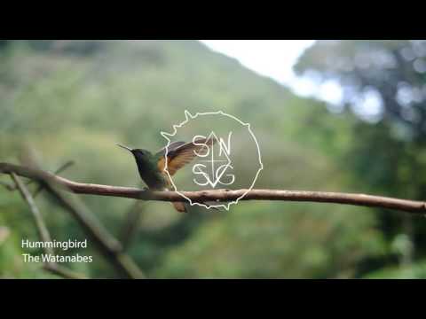 The Watanabes - Hummingbird