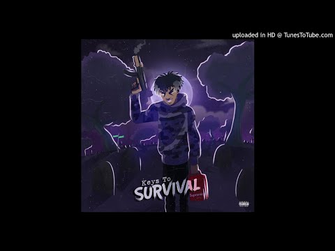 WOK HARD FT .FLOOZY THE FINESSER( prod. by LIL81)