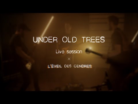 Under Old Trees - L'éveil des Cendres [Live Session]