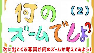 何のズームでしょ？(2)