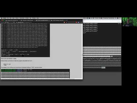Exploit Development Part 4