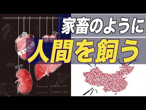 Pesquisador jurídico chinês com muitos seguidores: “A extração de órgãos é assassinato intencional”