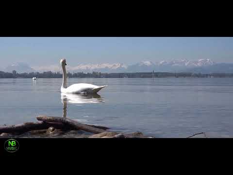 Lloyd Umali & Ima Castro - Muli (Official Music Video)