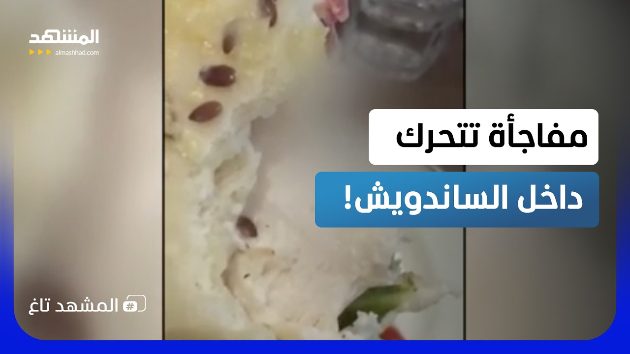 أكل نصف الساندويتش.. ثم اكتشف شيء صادم يهاجمه!   - المشهد تاغ
