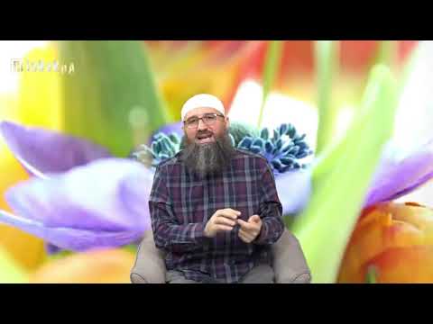 Da li je dozvoljeno držanje psa u boksu ispred kuće? - Elvedin Pezić