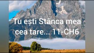 Tu esti Stanca mea - Nicolae Moldoveanu