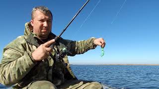 Ссылка