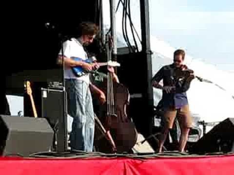 Creaking Tree String Quartet at Bluesfest 2008