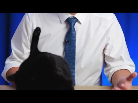 владимир милов и его соведущий люцик