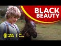 Black Beauty | Full HD Movies For Free | Flick Vault