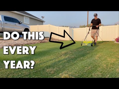 Do You NEED To DETHATCH Your Lawn EVERY YEAR???