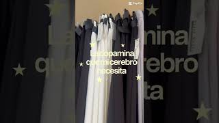 ARYA Perfumería/ SOHO Boutique video 3